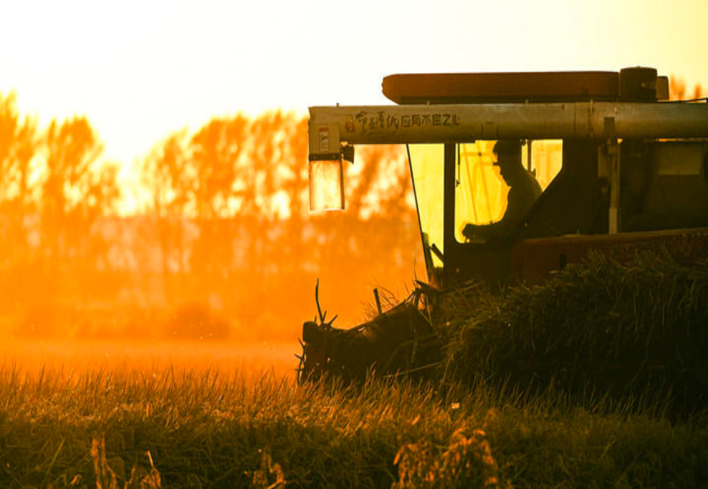 文”与“经济”辉映共生不朽情缘双节相遇！“人(图9)